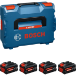 BOSCH Akumulátor EXPERT EXBA18V-55